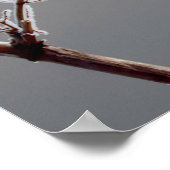 Winter Frosted branch Poster (Ecke)