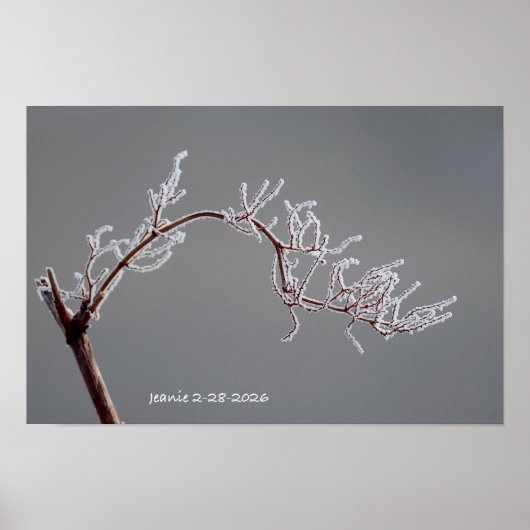 Winter Frosted branch Poster (Vorne)
