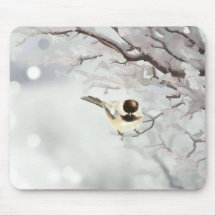 Winter Frosty Tree Chickadee Bird Individuelle Nam