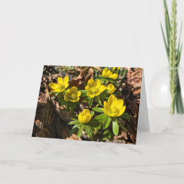 Winter/Frühjahr Grußkarte (Leerlaufkarte innen) Feiertagskarte