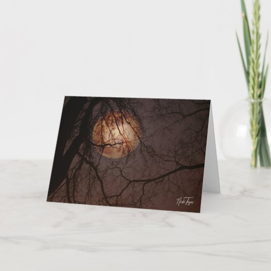 Winter Full Moon notecard Dankeskarte (Vorderseite)