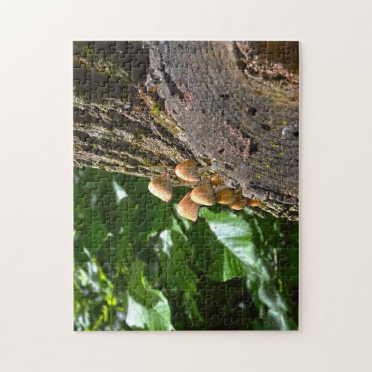 Winter Fungi Kanada. Puzzle (Vertikal)