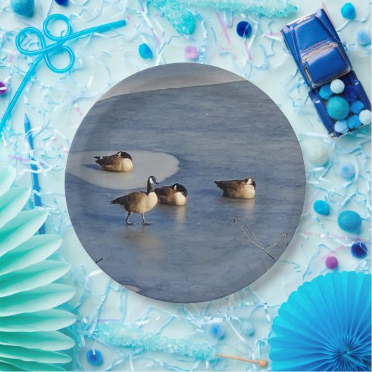 Winter Gänse- und Gänseeis-Napping Pappteller (Party)