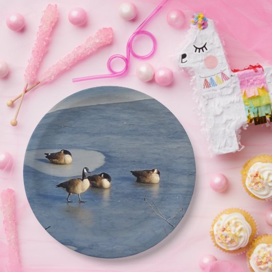 Winter Gänse- und Gänseeis-Napping Pappteller (Party)