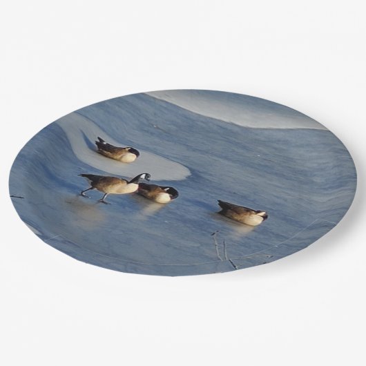 Winter Gänse- und Gänseeis-Napping Pappteller (Schrägansicht)