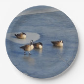 Winter Gänse- und Gänseeis-Napping Pappteller (Vorderseite)