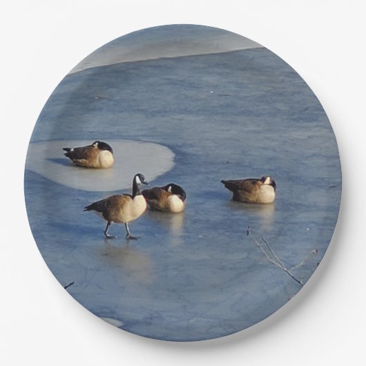 Winter Gänse- und Gänseeis-Napping Pappteller (Vorderseite)