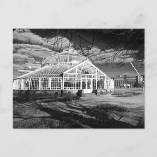 Winter Gardens, People's Palace, Glasgow, Postcard Postkarte (Vorderseite)