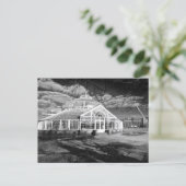 Winter Gardens, People's Palace, Glasgow, Postcard Postkarte (Stehend Vorderseite)