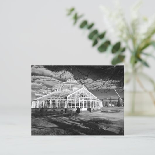 Winter Gardens, People's Palace, Glasgow, Postcard Postkarte (Stehend Vorderseite)