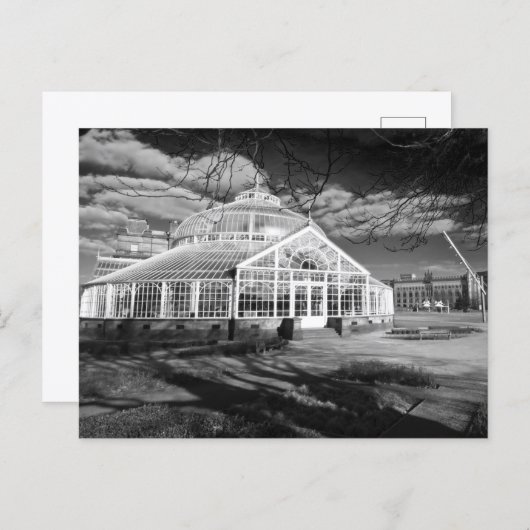 Winter Gardens, People's Palace, Glasgow, Postcard Postkarte (Vorne/Hinten)