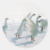 Winter Gese Weihnachtskarten Stickers (Vorderseite)