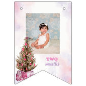 Winter Girl Onederland Geburtstag Monatliches Foto Wimpelkette (Zweite Fahne)