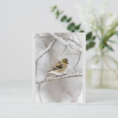 Winter Goldfinch Postkarte (Stehend Vorderseite)