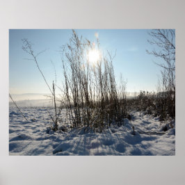 Winter grasses   - poster