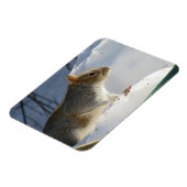 Winter Gray Eichhörnchen Magnet (Linke Seite)