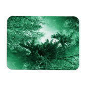 Winter Green... Magnet (Horizontal)