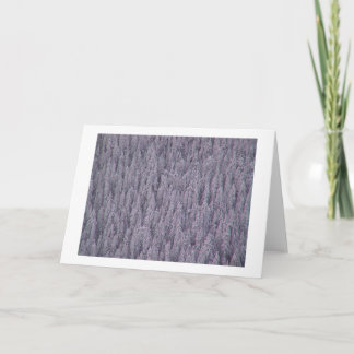 Winter Greetings Feiertagskarte