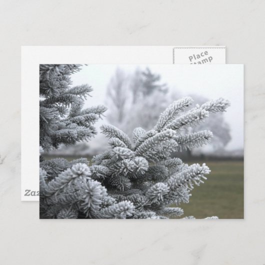 WINTER GREETINGS POSTKARTE (Vorne/Hinten)