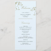 Winter Grün Ice Programm (Vorderseite)