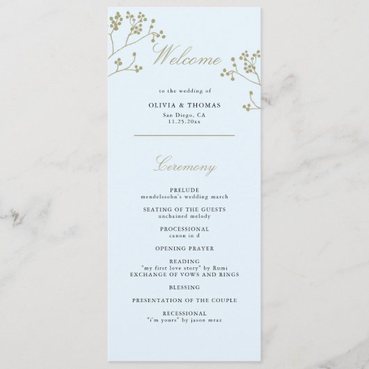 Winter Grün Ice Programm (Vorderseite)