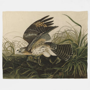 Winter Hawk, John James Audubons Vögel von Amerika Fleecedecke
