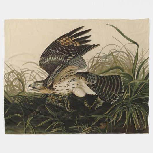Winter Hawk, John James Audubons Vögel von Amerika Fleecedecke (Vorderseite (Horizontal))