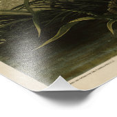 Winter Hawk, John James Audubons Vögel von Amerika Fotodruck (Ecke)