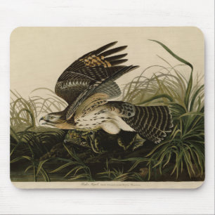 Winter Hawk, John James Audubons Vögel von Amerika Mousepad