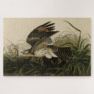 Winter Hawk, John James Audubons Vögel von Amerika Puzzle