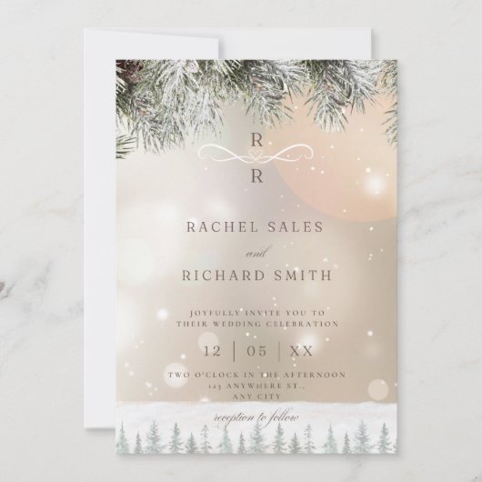 Winter Hochzeitseinladung Einladung (Vorderseite)