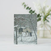 Winter Horses Postcard Postkarte (Stehend Vorderseite)