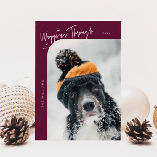 Winter Hund Cranberry Weihnachten