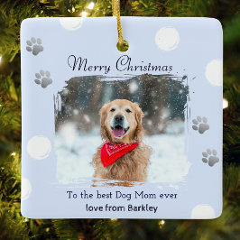 Winter Ice Blue Dog Mama Haustier Foto Weihnachten Keramikornament