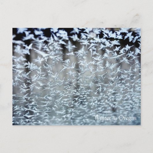 Winter Icicles Postkarte (Vorderseite)