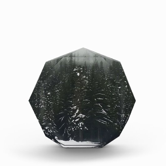 Winter im Bergwald Fotoblock (Vorderseite)