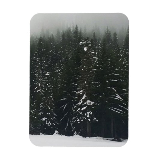Winter im Bergwald, Oregon Magnet (Vertikal)