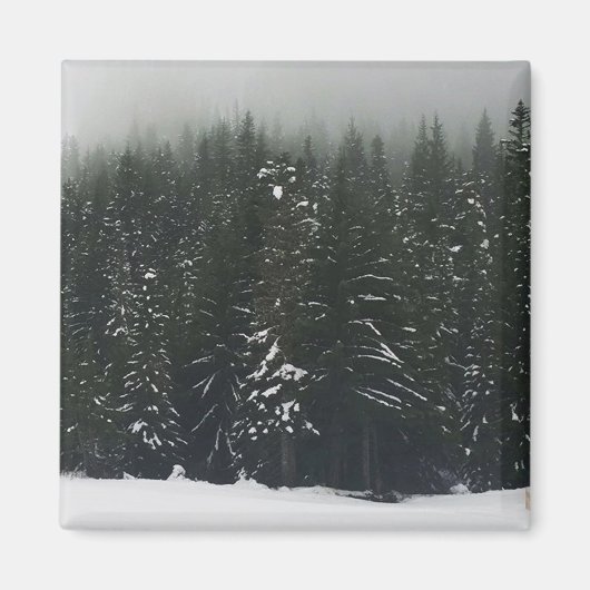 Winter im Bergwald, Oregon Magnet (Vorne)