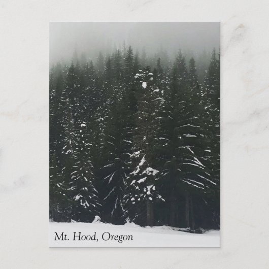 Winter im Bergwald, Oregon Postkarte (Vorderseite)