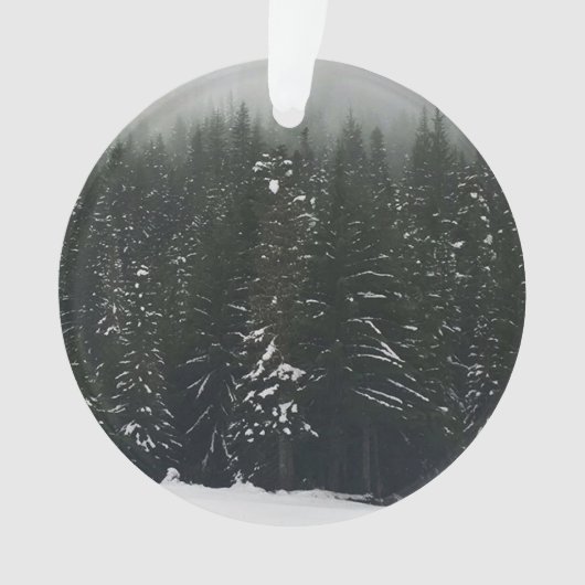Winter im Bergwald Ornament (Vorderseite)