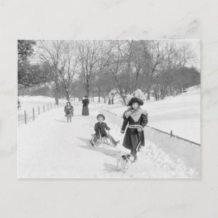 Winter im Central Park, 1900 Postkarte