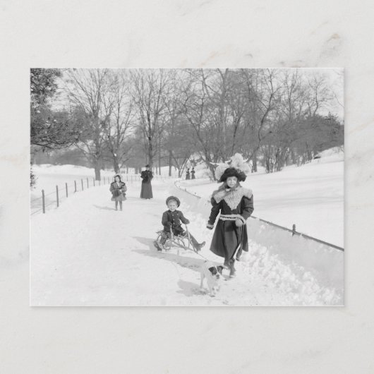 Winter im Central Park, 1900 Postkarte (Vorderseite)