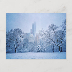 Winter im Central Park der Stadt New York Postkarte