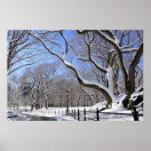 Winter im Central Park, New York City Poster (Vorne)
