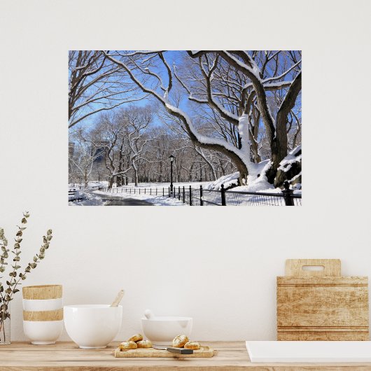 Winter im Central Park, New York City Poster (Küche)