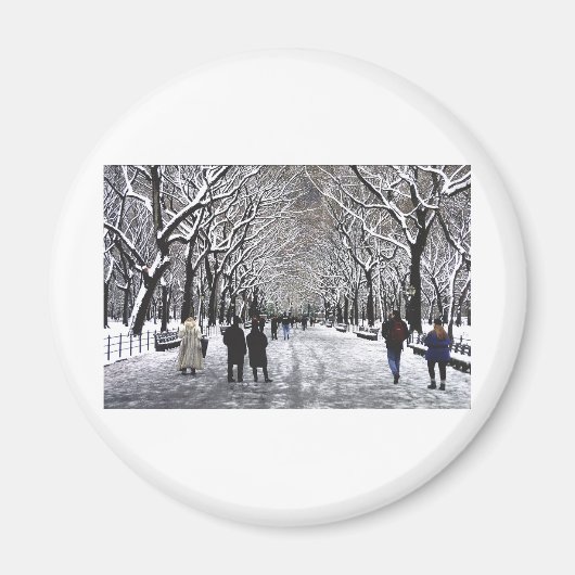 Winter im Central Park NYC Magnet (Vorne)