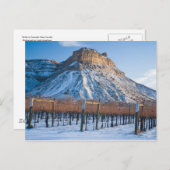 Winter im Colorado Weinland Postkarte (Vorne/Hinten)