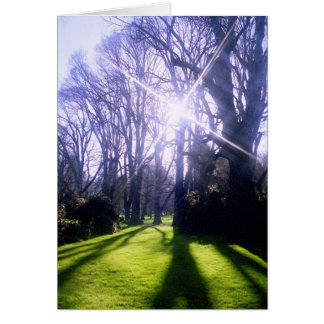 Winter im Fitzroy Gardens