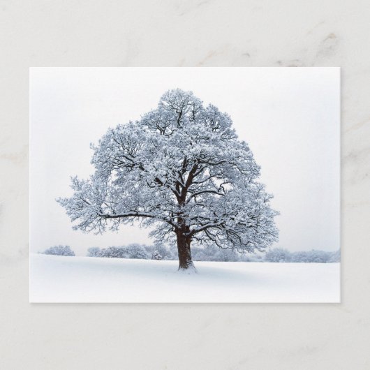 Winter im Heaton Park Postkarte (Vorderseite)