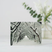 Winter im Heaton Park Postkarte (Stehend Vorderseite)